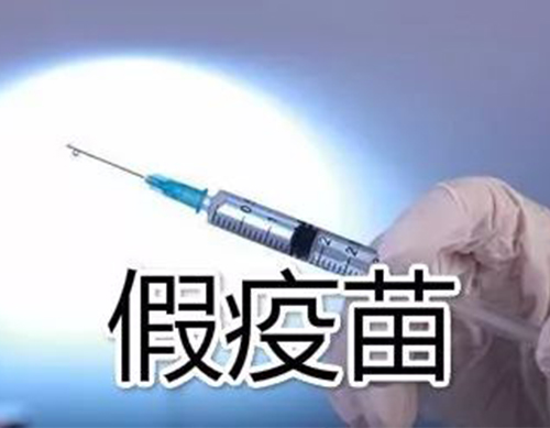 非洲豬瘟有疫苗了？假的！